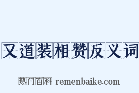 又道装相赞反义词是什么意思的图片